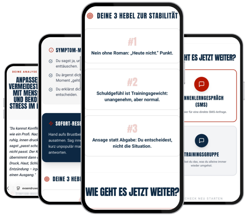 Stress-Typ-Test-Auswertung